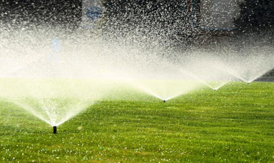 Water restrictions in Sydney – How to deal with it