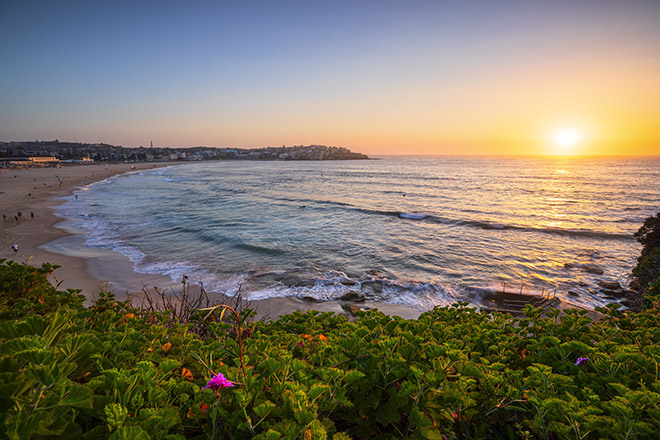 The Benefits of Opening a Business Near Bondi Beach