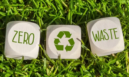 Embracing Zero Waste Systems